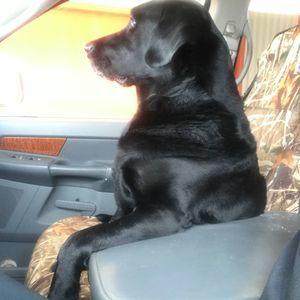 Meet your Posher, Tim